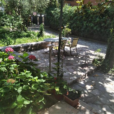 Apartmani Abeona Будва Экстерьер фото